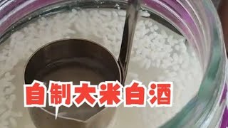 小田哥釀酒丨製作半固態米白酒，發酵製程\u0026蒸餾過程