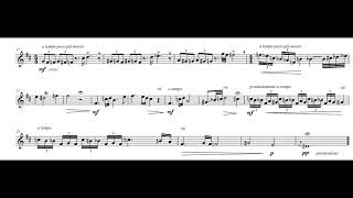 Andrea Balzani - Infinito for Clarinet (2014) [Score-Video]