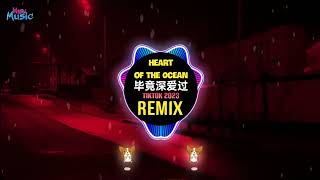 Titanic - Heart Of The Ocean x 毕竟深爱过 (抖音DJ小龙版 2023) Đã Từng Yêu Đậm Sâu (Remix Tiktok) || Hot Tiktok