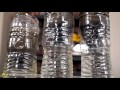 DIY Make Swamp Water Drinkable! King Of Random Dives Into How To Make A Homemade DIY Water Filter