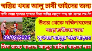 আজকের আলুর দাম নতুন হিসাবে/ধসায় আলুর ফলন অর্ধেক হবে চাষীরা জানাচ্ছেন/লাল,পোখরাজ,k22,S6আলুর দাম