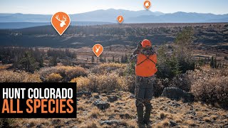 Colorado Application Strategy - All Species