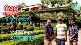 ঝিনাইদহের গাছবাড়ি | গাছ দিয়ে নির্মিত আমিনুল ইসলামের বাড়ি | উদ্যোক্তার খোঁজে