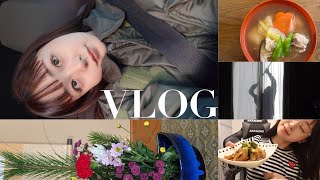 【🎍年末年始vlog】就寝時間すら変わらない私のお正月 |70点の自炊|少しの帰省…