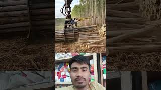 আধুনিক গেজেট দ্বারা গাছ কাটার অসাধারণ টেকনিক #viralvideo #video #viralshort #viralshorts