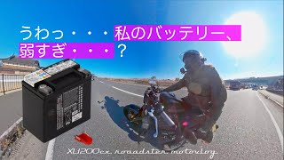 【sportster】スポーツスターの一年点検(48ヶ月目)の費用とバッテリーの弱さについての話【XL1200CX】