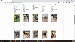 Problem with iframe Solutions