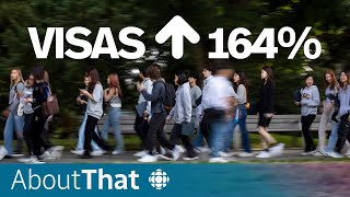 Is Canada accepting too many international students? | About That