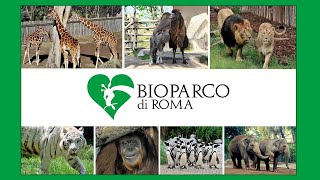 ANDIAMO a VISITARE il Bioparco di Roma!