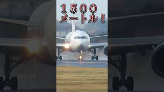 望遠で飛行機を撮影！！　#出雲空港  #日本航空　japan airline #japan airport #伊丹空港　#旅行　#撮影　#shorts