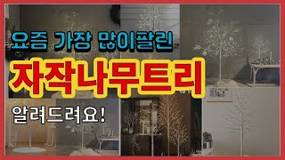 자작나무트리 추천 판매순위 Top10 || 가격 평점 후기 비교