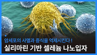 암세포의 사멸과 증식을 억제시키는 실리마린 기반 셀레늄 나노입자 개발 (암세포 사멸, 암세포 증식 억제)