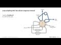 Valco loop sampling with two column sequence reversal