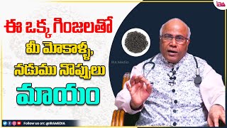 Mahabeera Ginjalu Benefits in Telugu | Knee Pain Remedies |Dr CL Venkat Rao Health Tips | IRA Health