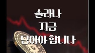 솔라나 상승 추세 다음주면 '이가격'