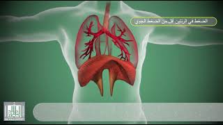 عملية التنفس و الرئتين في الانسان