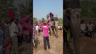 kalash yatra # gadhimai panch barshiye mela #Ramnagar gaupalika sarlahi nepal#gadhima#bycreation