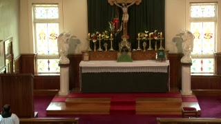 SSPXNZLIVE Live Stream - 22 October 2017 High Mass