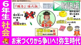 〈6年社会　歴史〉お米づくりから争いへ！弥生時代の生活【解説編】