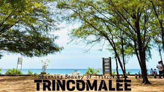 Discover the Stunning Beauty of Trincomalee: Sri Lanka's Coastal Paradise