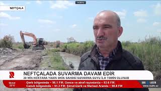 Neftçalada 39 min hektara yaxın əkin sahəsi suvarma suyu ilə təmin olunur 23 05 2023 Real Tv