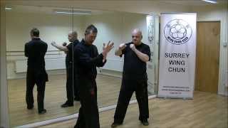 Wing Chun - Surrey Wing Chun - The Backfist