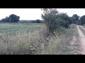 Red soil 10 acre agriculture land for sale(8618143750)