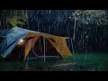 99% fall asleep fast with heavy rain u0026 thunder on tent zzzzzzzzz