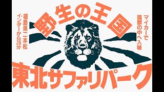 福島ローカルCM 東北サファリパーク