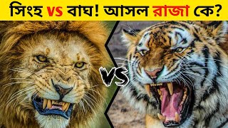 সিংহ vs বাঘ আসল রাজা কে? | Lion vs tiger  who is the real king? | Aminur Mir