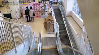 イオン 横浜新吉田店 エスカレーター 2F-1F AEON Yokohama shinyoshida Escalator