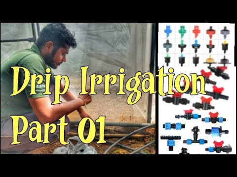 Drip Irrigation Part 01 Youtube