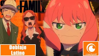 ¡Si no tengo a este perrito me portare mal y no iré al colegio  |Spy x Family|Doblaje Latino|1080pHD