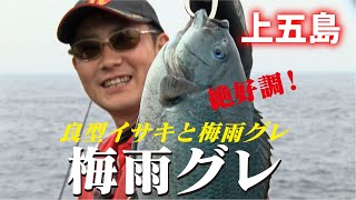 【上五島】梅雨グロ\u0026イサキ良型連発！！名手「富田 聡」