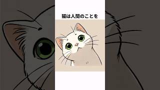 どんどん知りたい猫の心理雑学#shorts  #雑学