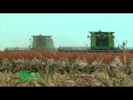 farm factor martin kerschen and the sorghum checkoff september 27 2016