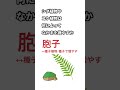 【中1理科】植物の分類12［生物］ shorts 中学 理科 テスト