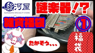 【駿河屋福袋】駿河屋 雑貨 福袋 1280円  四箱中① 【2月中旬頃注文】 開封 中古福袋 ノンジャンル 雑貨　箱いっぱいセット 2021年 lucky bag Japanese