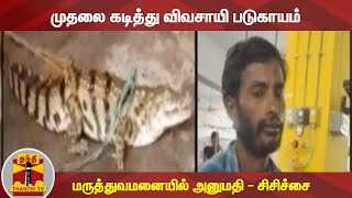 முதலை கடித்து விவசாயி படுகாயம் - மருத்துவமனையில் அனுமதி - சிசிச்சை