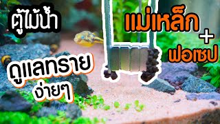 วิธีทำความสะอาดทรายในตู้ไม้น้ำ แยกดินกับทรายง่ายนิดเดียว | มาแรงมด MarangMod Channel