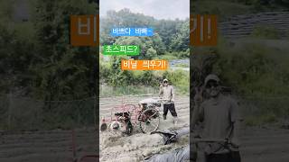 초스피드? 비닐 씌우기! 비닐피복기! 옥수수밭 비닐멀칭 #shorts #괴산젊은농부