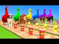 Duck Cartoon with 5 Dog, Horse, Gorilla, crocodile, Lion Animal Fight Animals Rescue New 2023