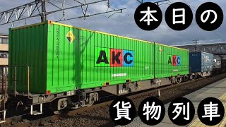 【本日の貨物列車】No.229　2021,3,3　第1089番列車　Today‘s freight train　EF66-103号機最終運用！