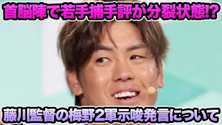 【首脳陣で若手捕手評が分裂状態!?】春季キャンプ1軍捕手4人を徹底考察【阪神タイガース】