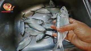 ছোট মাছ কাটা সহজ পদ্ধতি , How to cut small fish, সামুদ্রিক মাছ কাটার , জাটকা ইলিশ কাটার সহজ উপায়