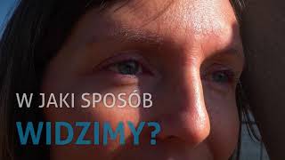 Mózg to wielki spryciarz odc. 1 - W jaki sposób widzimy?