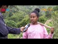 ክረምታዊ ማእቶት 2024 መደብ ካብ ዞባታት kab zobatat winter 2024 harvesting eri tv