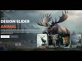 Create A Slider Crazy Effects Using HTML CSS And Javascript