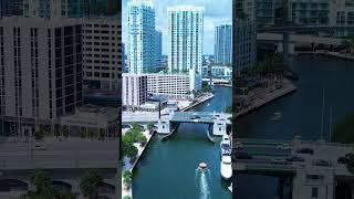 Downtown Miami Florida United States. Tourism landmark of city #short #shorts