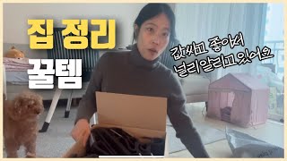 🫢평생쓰는 꿀템? 쿠팡인기템 ❗️솔직 리뷰 화재의 실리콘 빗자루, 옷걸이, 노브랜드 간식